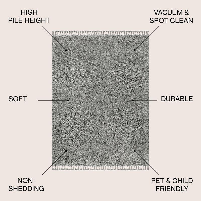 3'x5' Mercer Shag Plush Tassel Area Rug, Charcoal - JONATHAN Y