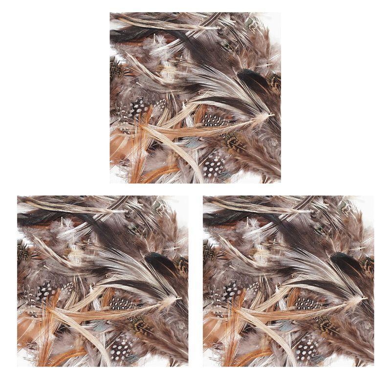 Creativity Street® Natural Feathers, Natural Assorted Colors, Assorted Sizes, 1/2 oz.