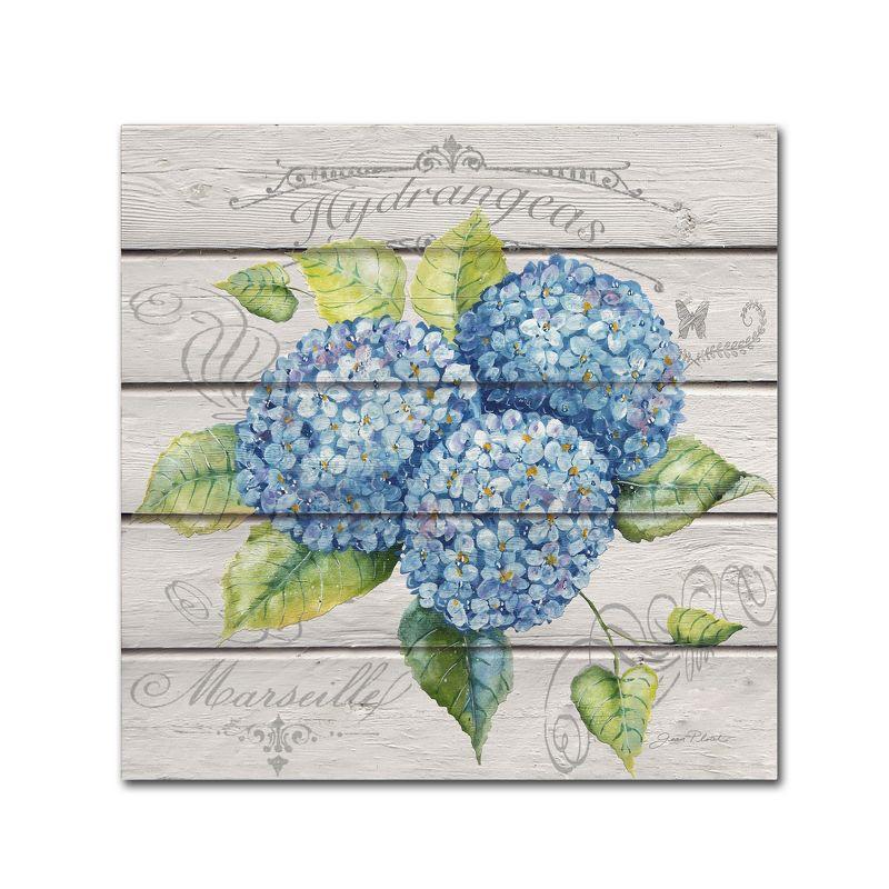 Jean Plout 'Blue Hydrangeas' Canvas Art - 24x24