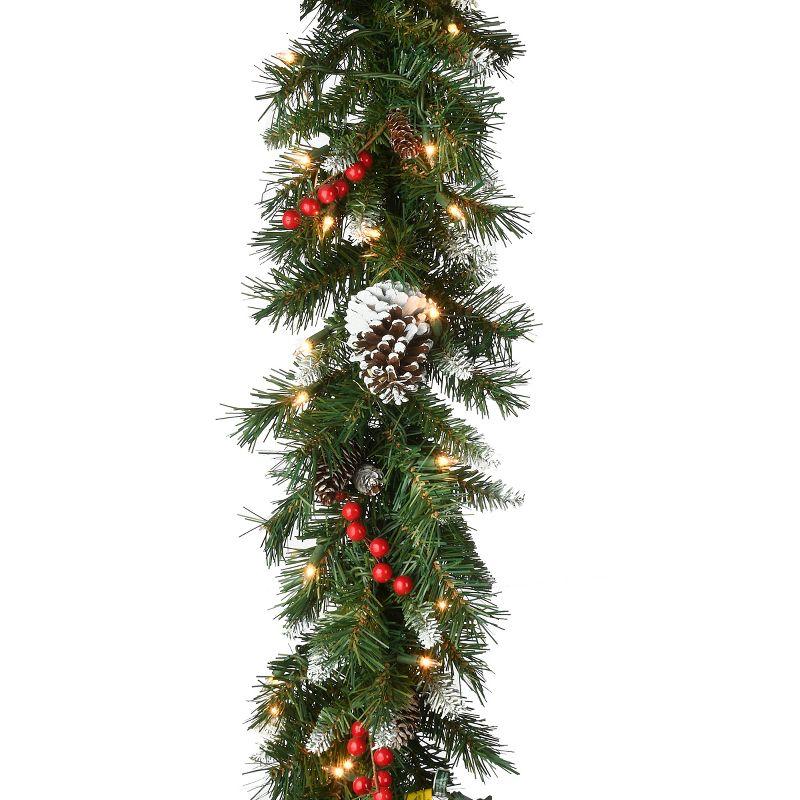 National Tree Company 9ft. Frosted Berry Garland with Clear Lights