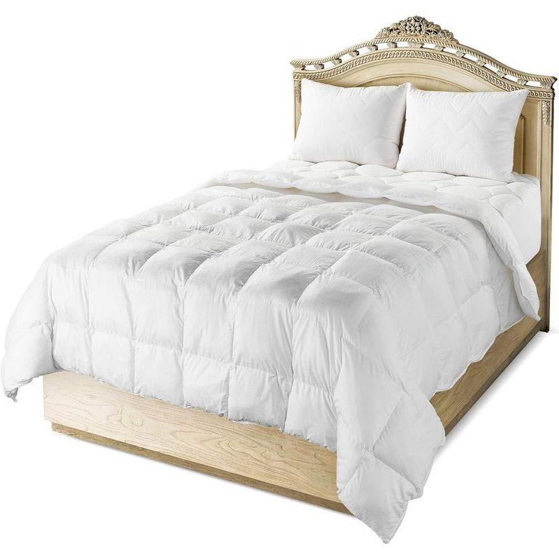 Maxi Luxurious Cozy Cotton Sateen Comforter - 300 Thread Count