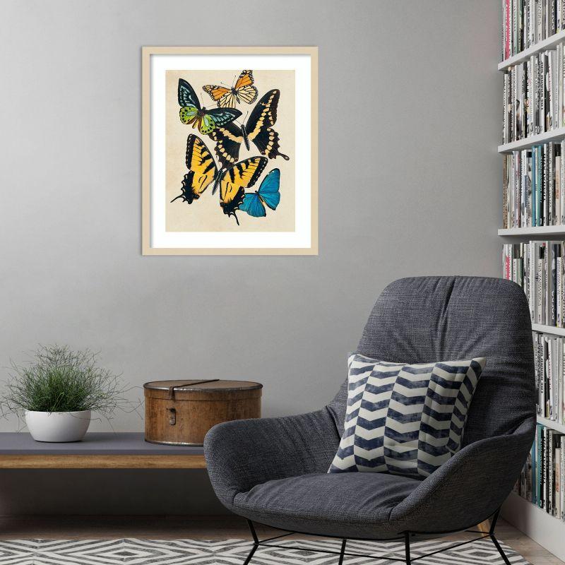 Amanti Art Collaged Butterflies II by Victoria Barnes Wood Framed Wall Art Print