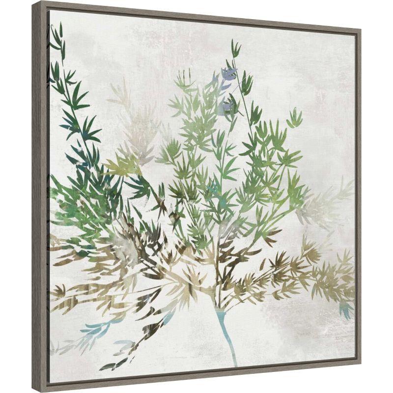 Amanti Art Olive Branch by Asia Jensen Canvas Wall Art Print Framed 22 x 22-in.