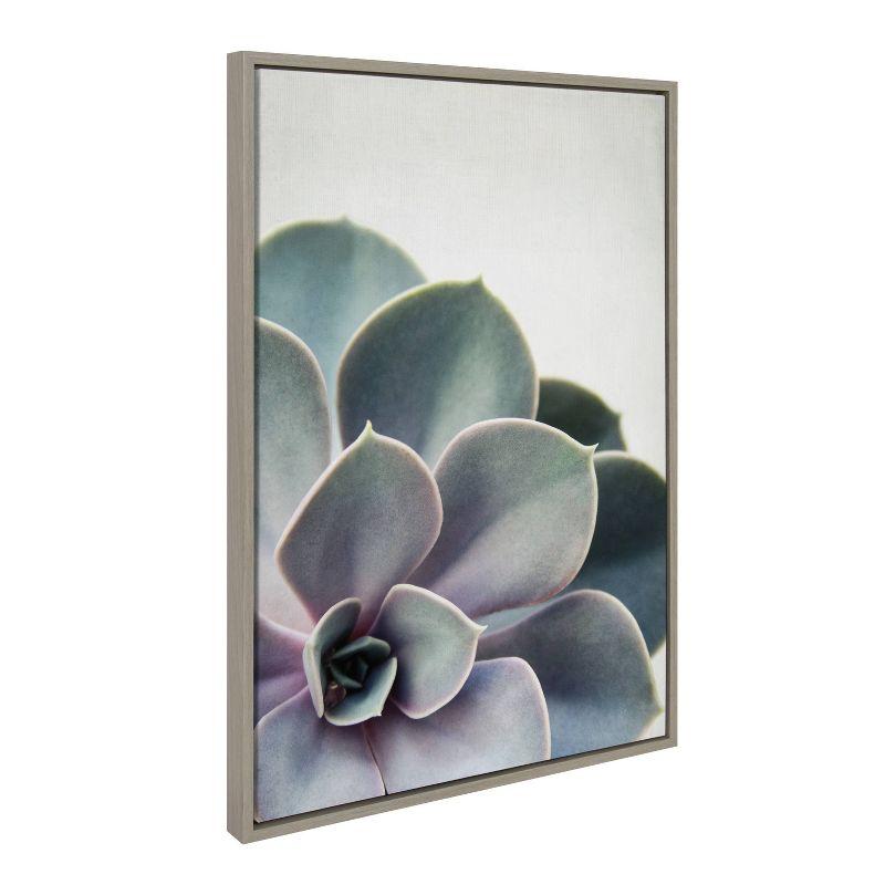 Sylvie Succulent 5 Framed Canvas by F2 Images - Kate & Laurel All Things Decor