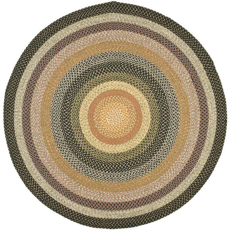 Braided BRD308 Hand Woven Area Rug  - Safavieh