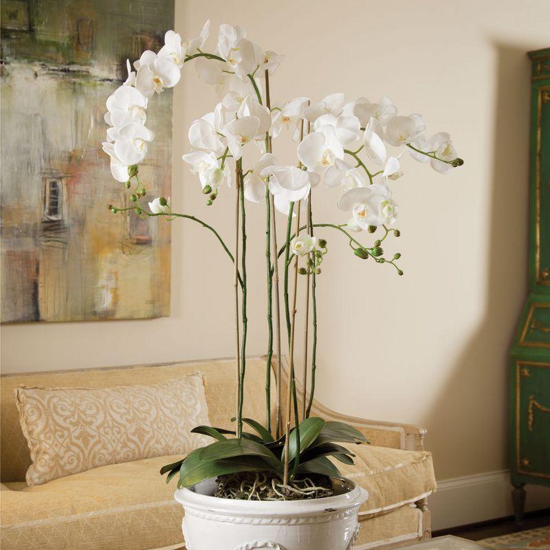 Plum & Post 44" Phalaenopsis Orchid Drop-In Artificial Faux Floral Flower Plant