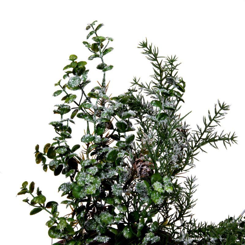 Vickerman 26" Artificial Green Snow Cedar and Eucalyptus Christmas Wreath, Unlit