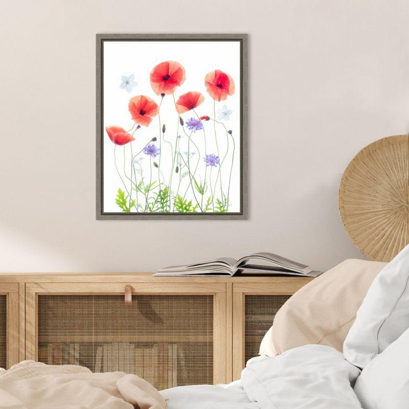 Amanti Art Poppy Garden by Sharon Williams Canvas Wall Art Print Framed 16 x 20-in.