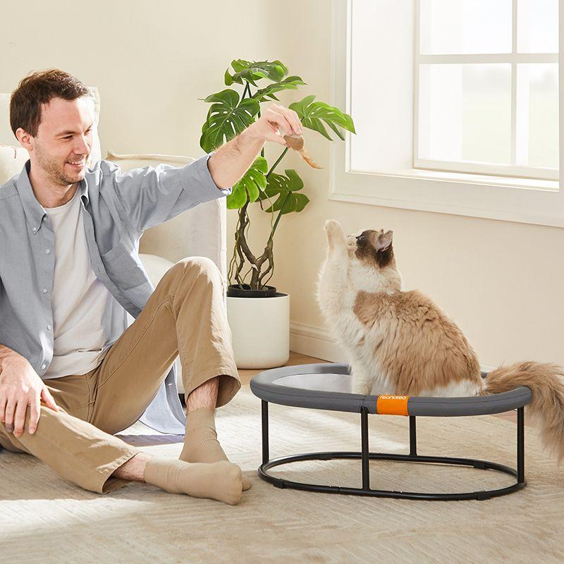 Feandrea Pet Bed, Cat Hammock, Elevated Cat Bed for Multiple Cats, with Removable Washable Mesh, for Pets up to 28 lb, Oval, Gray