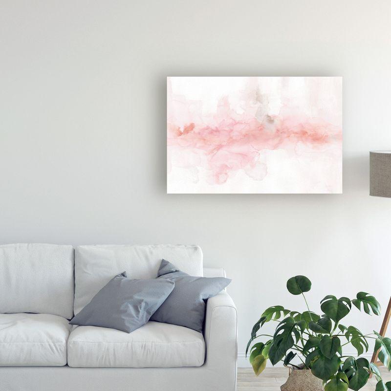 Trademark Fine Art -Lisa Audit 'Rainbow Seeds Abstract Blush Gray Crop' Canvas Art - 22''x32''