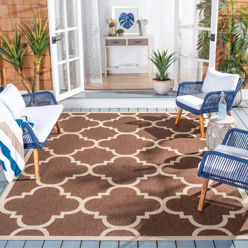 Courtyard CY6243 Indoor/Outdoor Area Rug  - Safavieh