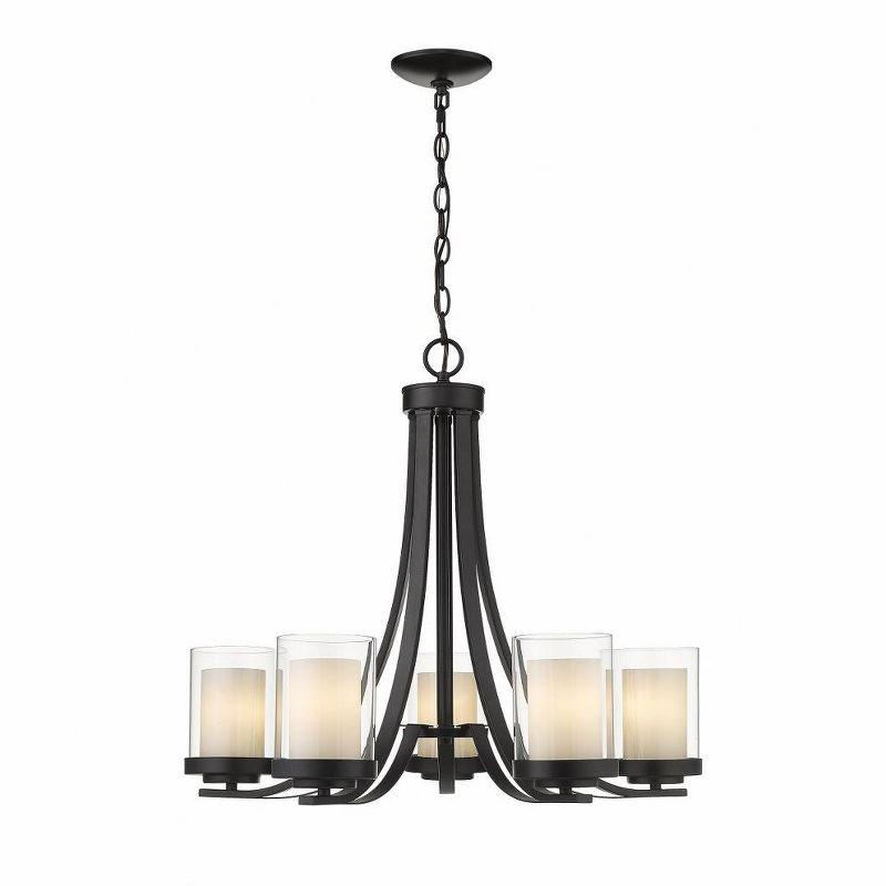 Z-Lite Willow 5 - Light Chandelier in  Matte Black