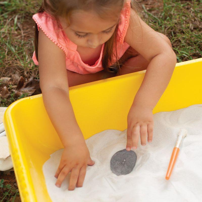 Outdoor Stone and Resin Bug Exploration Set for Kids