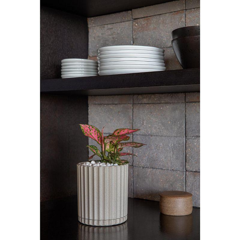 Veradek Mason Series Demi 6" Plastic-Stone Planter 2-Pack Sand