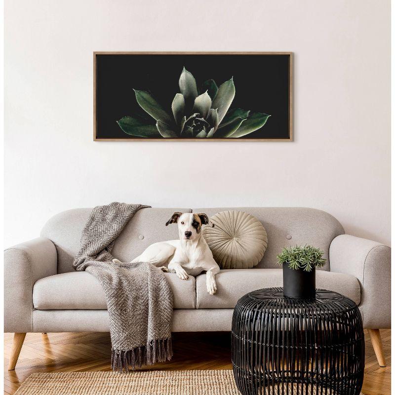 18" x 40" Sylvie Succulent 8 by Emiko and Mark Franzen of F2 Images Framed Wall Canvas Gold - Kate & Laurel All Things Decor