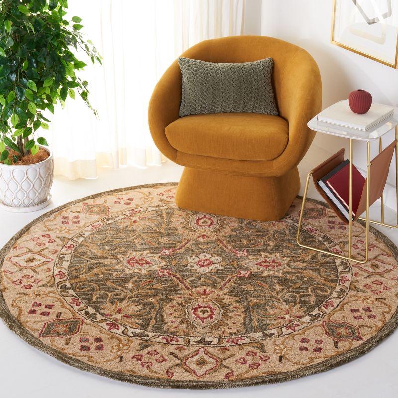 Anatolia AN516 Hand Tufted Indoor Area Rug - Brown/Ivory - 6' Round - Safavieh