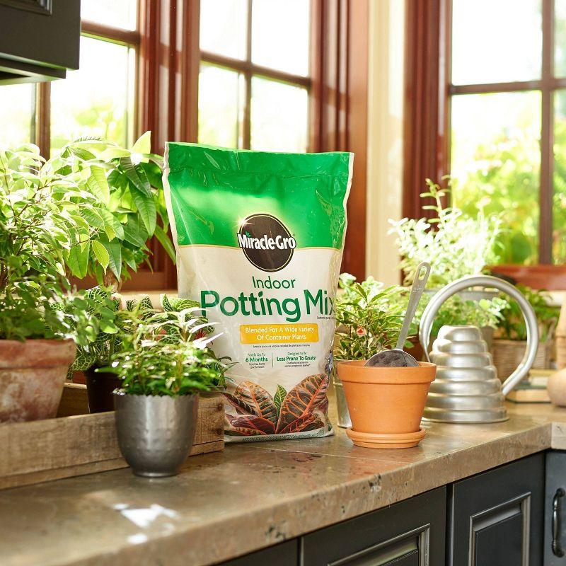 Miracle-Gro 6qt Indoor Potting Mix