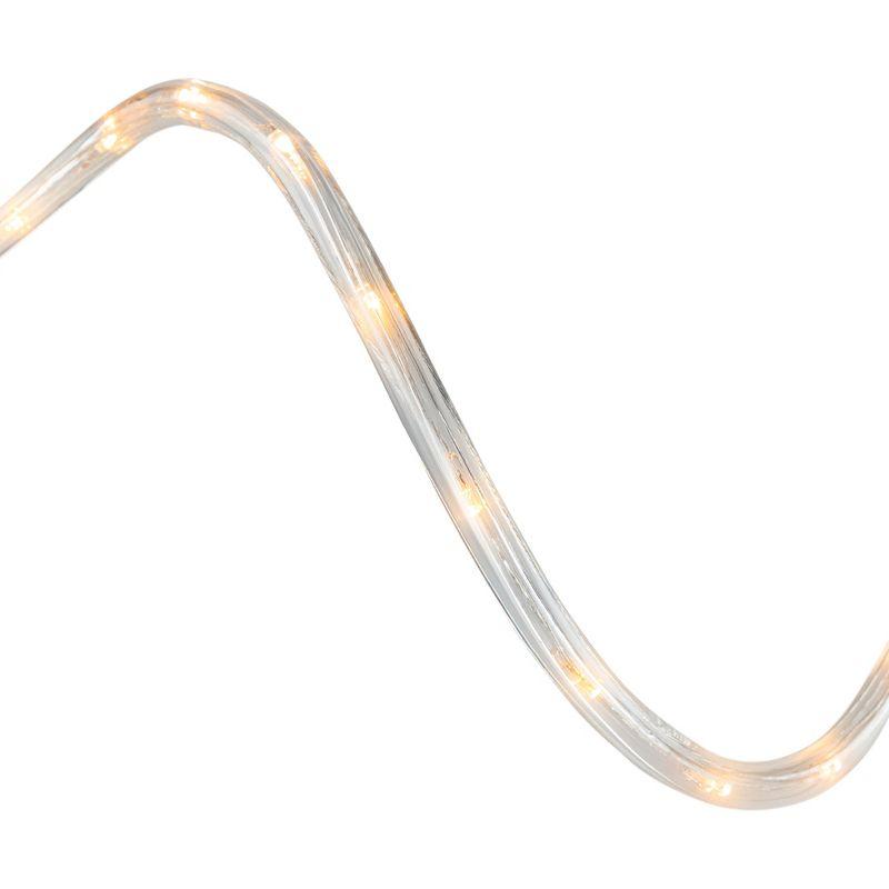 Northlight Seasonal 18' LED Outdoor Christmas Decor Rope Lights