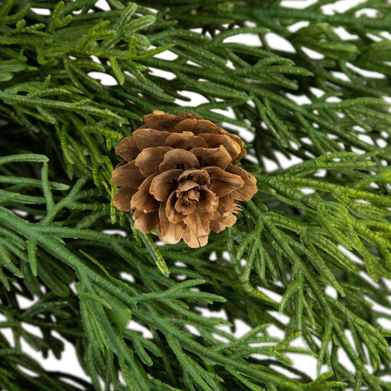 24" Soft Green Cedar Artificial Christmas Wreath with Pine Cones - Unlit