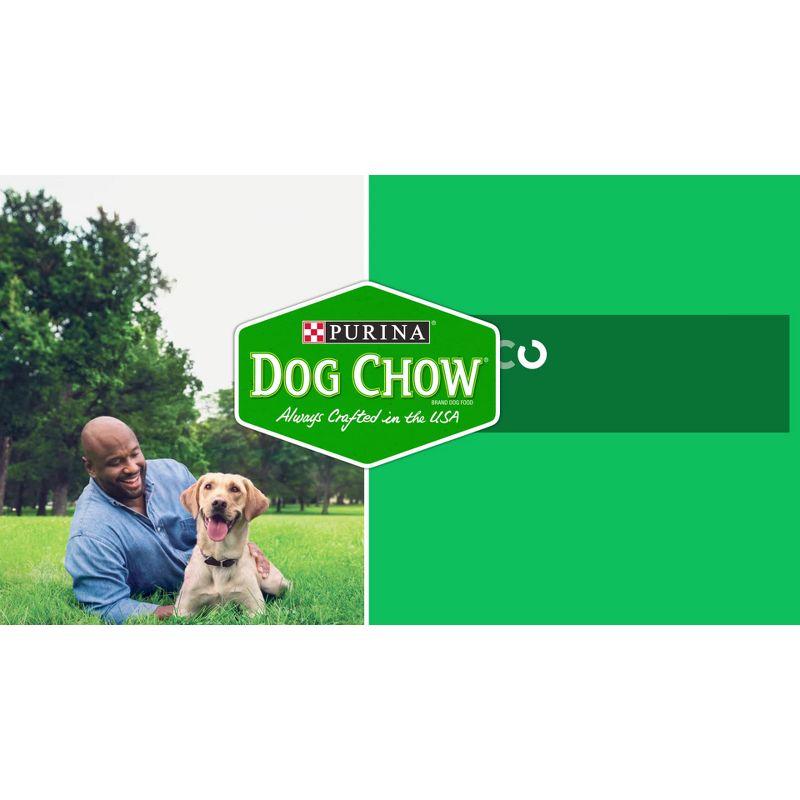Purina Dog Chow with Real Chicken Adult Complete & Balanced Dry Dog Food - 4.4lbs