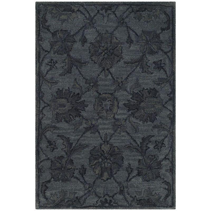 Antiquity AT824 Hand Tufted Area Rug  - Safavieh