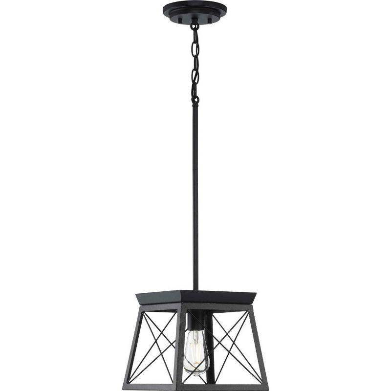 Progress Lighting Briarwood 1-Light Mini-Pendant, Steel, Graphite Finish, Faux-Painted Wood Enclosure