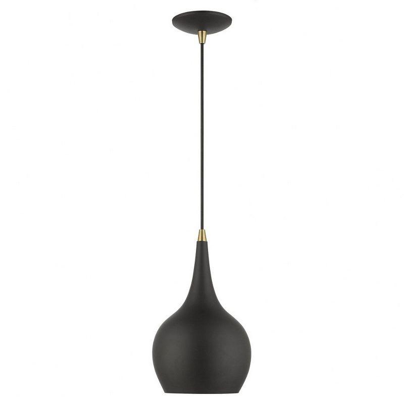 Livex Lighting Andes 1 - Light Pendant in  Black/Antique Brass