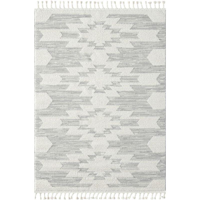 Geometric Braided Fringe 5' x 7' Gray Synthetic Area Rug