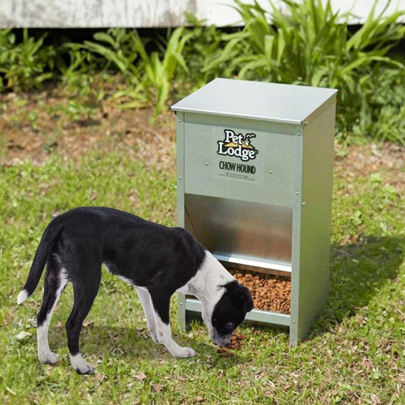 Little Giant Pet Lodge Dry Food Automatic Steel Dog Feeder Chow Hound 25 Pound Capacity