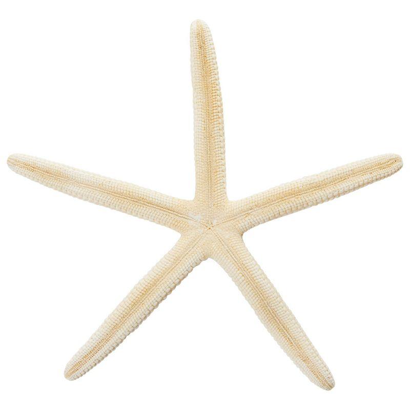 Juvale 12 Pack White Finger Starfish for Nautical Décor, Vase Filler, Craft Supplies (4 to 6 in)