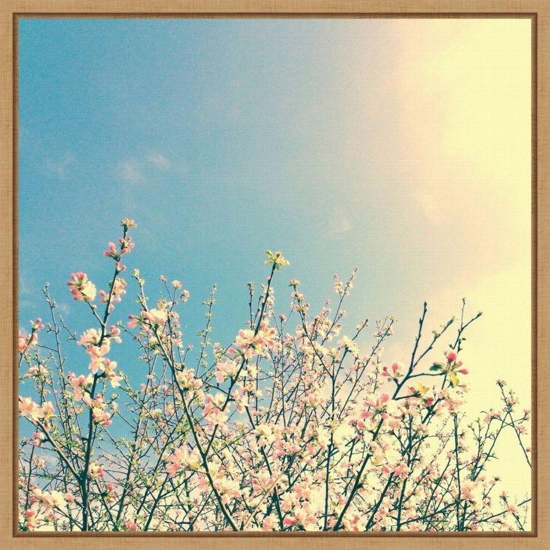 Amanti Art 22"x22" Springing Pink I by Olivia Joy Framed Canvas Wall Art Print