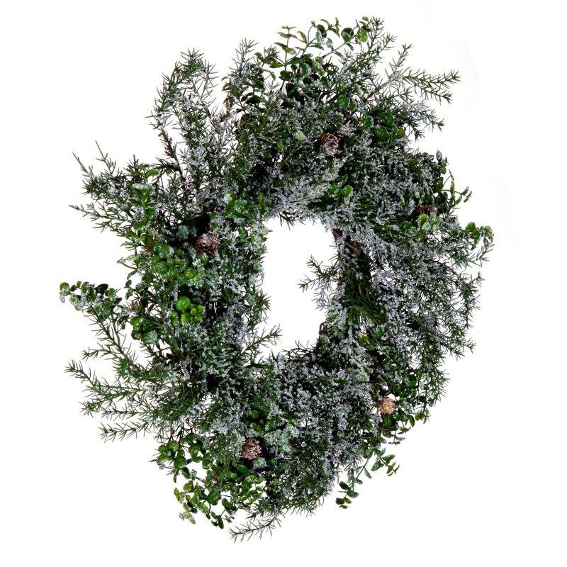 Frosted Eucalyptus & Pine Cone 23" Outdoor Christmas Wreath