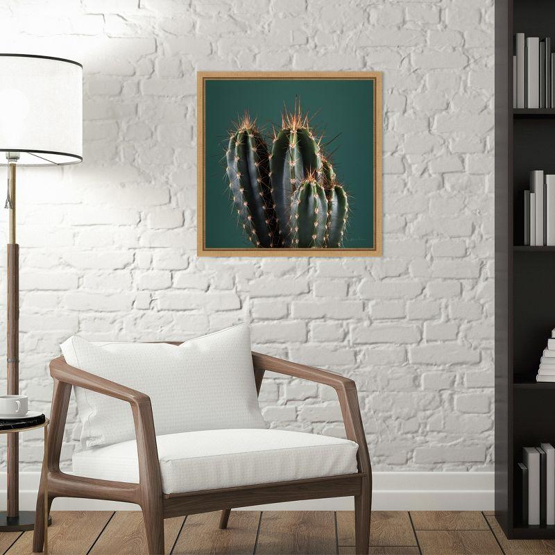 Amanti Art Cactus IV by Andre Eichman Canvas Wall Art Print Framed 16 x 16-in.