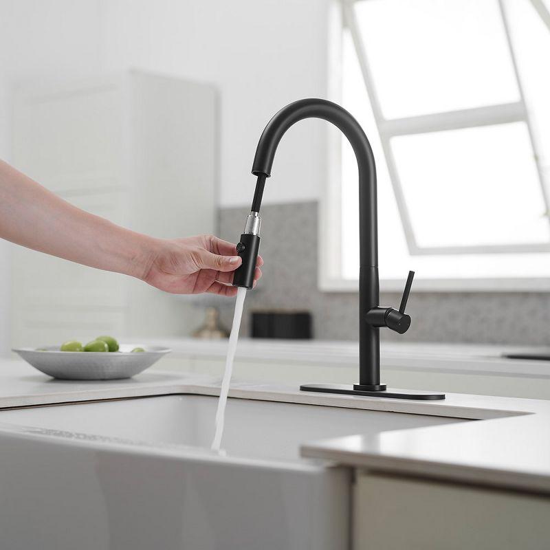 Single Handle Pull Down Sprayer Kitchen Faucet