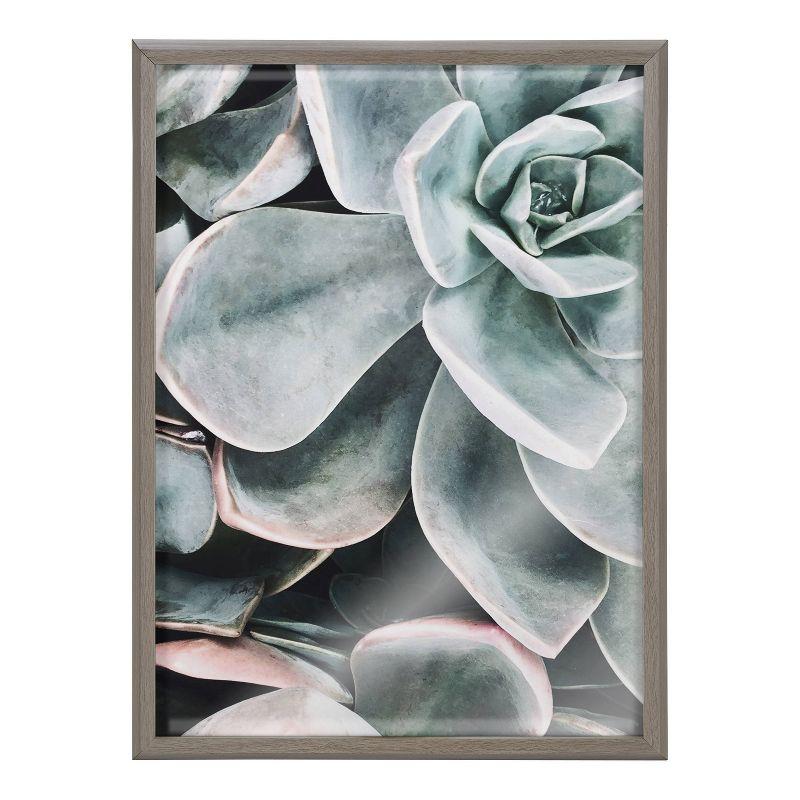 18" x 24" Blake Botanical Succulent Plants 2 Framed Printed Glass by the Creative Bunch Studio Gray - Kate & Laurel All Things Decor