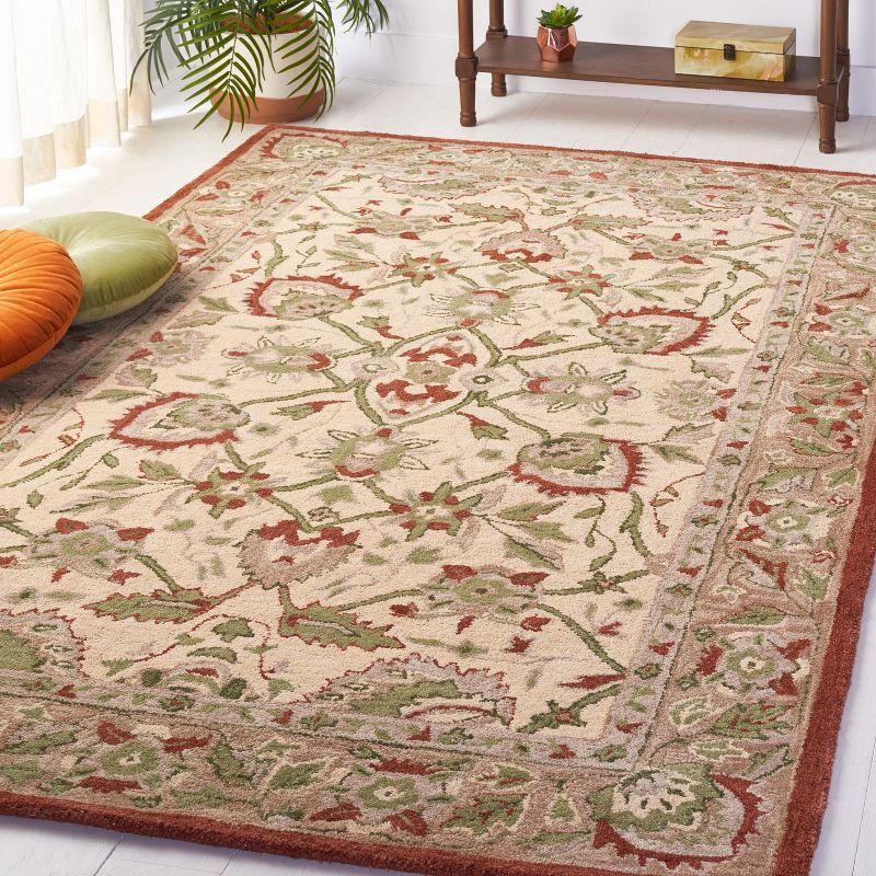 Antiquity AT65 Hand Tufted Area Rug  - Safavieh