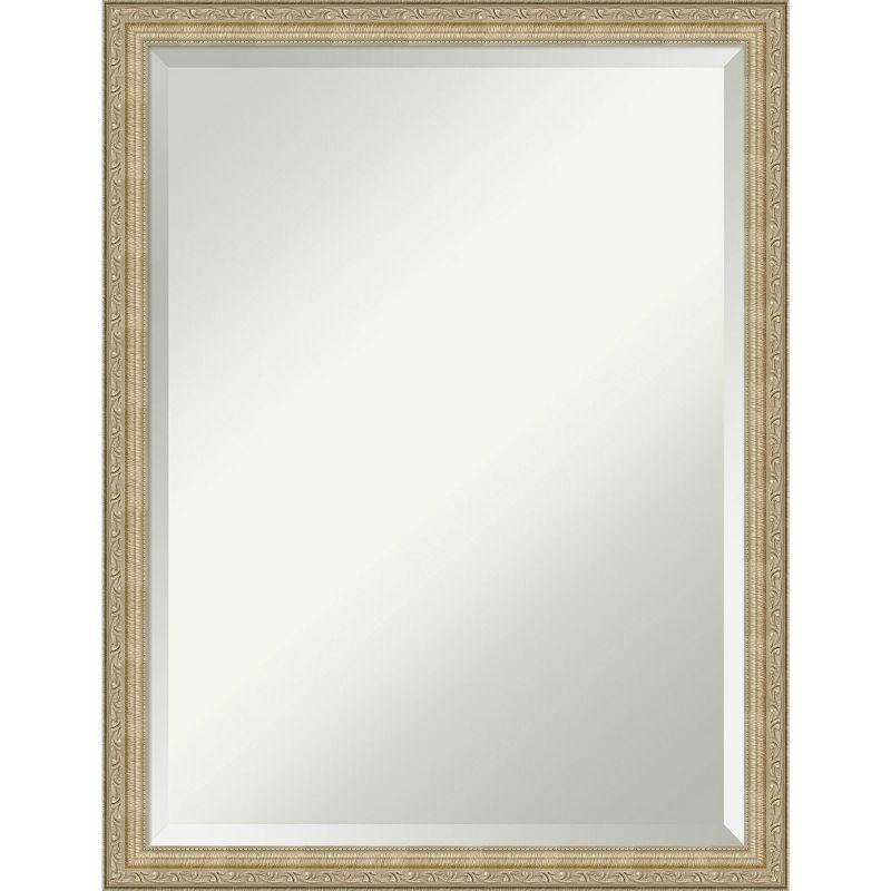 Paris Champagne Elegance 20x26 Bronze-Gold Rectangular Wall Mirror