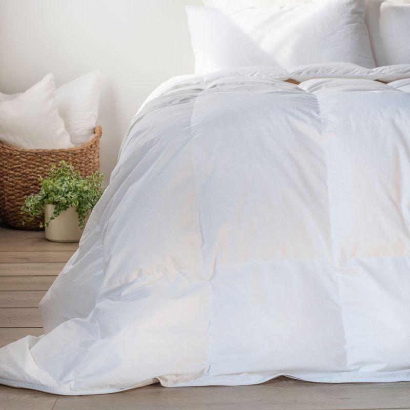 All Season Feather & Down Duvet Comforter Insert