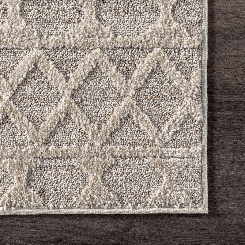 nuLOOM Cameron High Low Textured Moroccan Area Rug