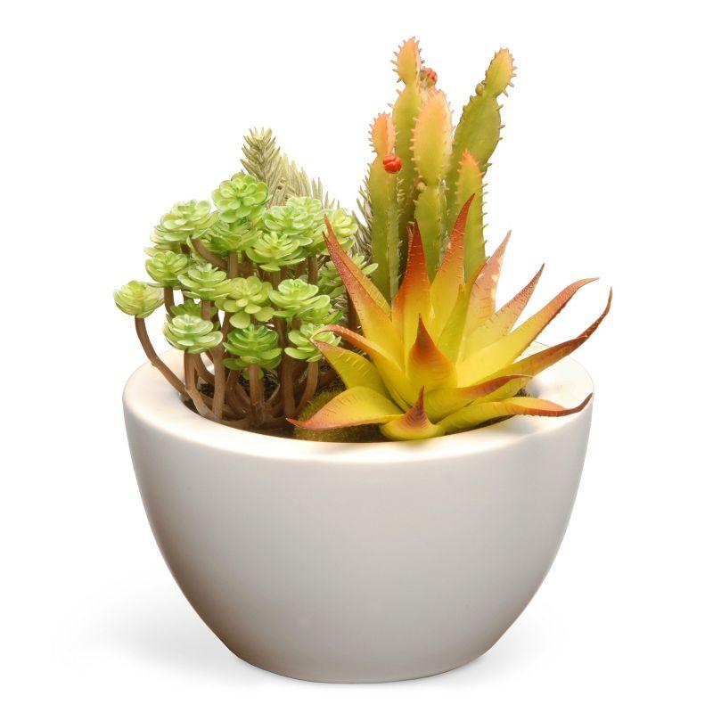 Artificial Green and Yellow Succulent Plants in White Ceramic Pot