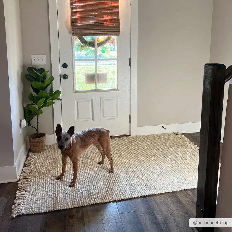 Moncton Handmade Jute/Sisal Beige Area Rug