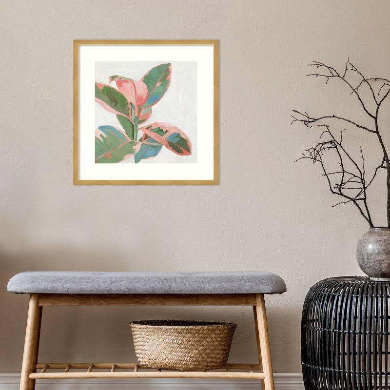 21" x 21" Ficus I by Asia Jensen Framed Wall Art Print Pink - Amanti Art: Modern Hardwood Frame, Botanical Lithograph