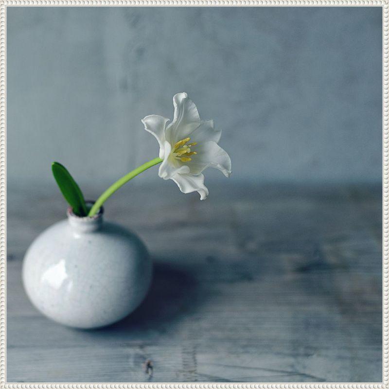 White Flower in Vase Framed Canvas Wall Art