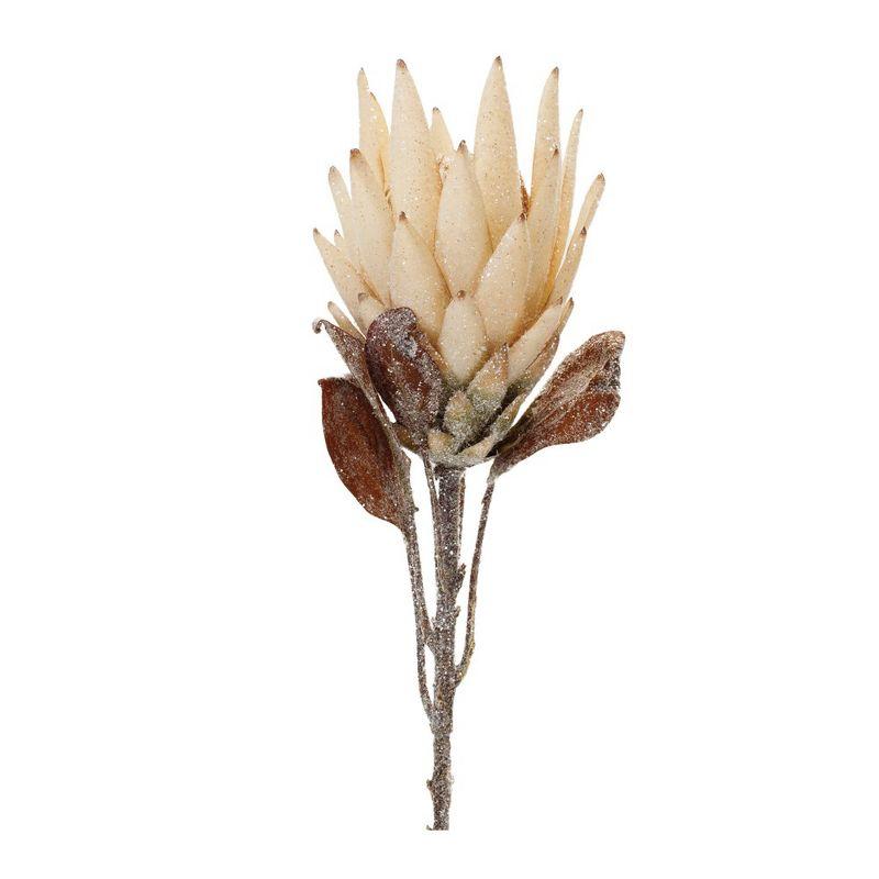 Beige and Brown Protea Flower Stems Set of 2