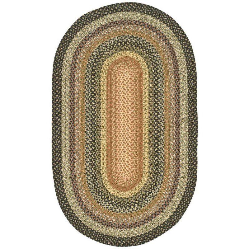 Braided BRD308 Hand Woven Area Rug - Multi - 4'x6' Oval - Safavieh.