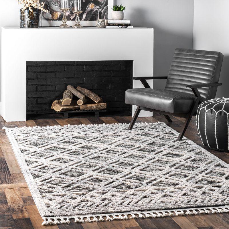 Luxurious Gray Geometric Braided Tassel Shag Rug 3' x 5'