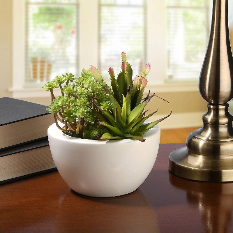 Artificial Green and Yellow Succulent Plants in White Ceramic Pot