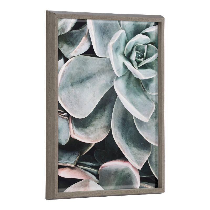 18" x 24" Blake Botanical Succulent Plants 2 Framed Printed Glass by the Creative Bunch Studio Gray - Kate & Laurel All Things Decor