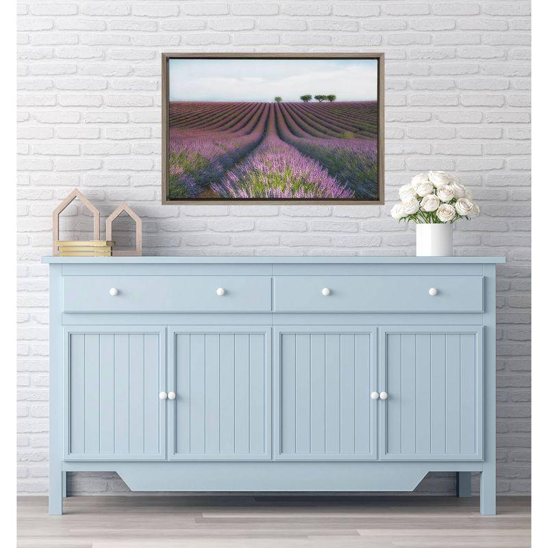 23" x 16" Velours de Lavender Framed Canvas Wall Art - Amanti Art: Horizontal Lavender Field Print