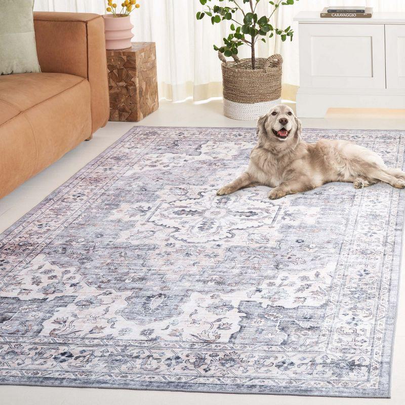 Arizona ARZ520 Power Loomed Machine Washable Area Rug  - Safavieh